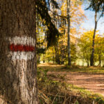 Herbstwandern in Mittelkärnten