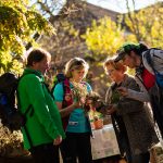 Wandern auf den Spüren der Wildkräuter