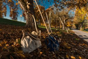 Wandern durch das Gurktal im Herbst