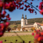 Blick auf den Dom zu Gurk