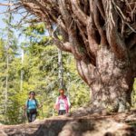 Wandern im Urlaubsziel Kärnten