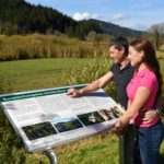 Das mystische Hörfeldmoor nahe Hüttenberg