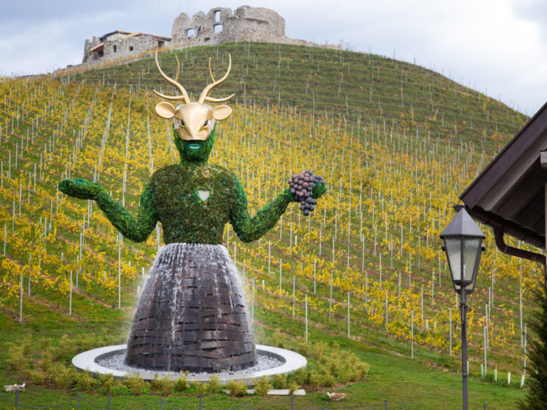 Weingut Burg Taggenbrunn