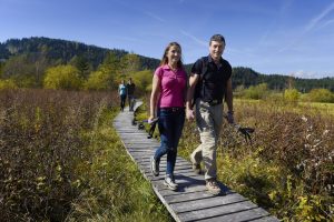 Wandern im Naturschutzgebiet Hörfeld Moor