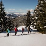 Winterwandern auf der Saualm