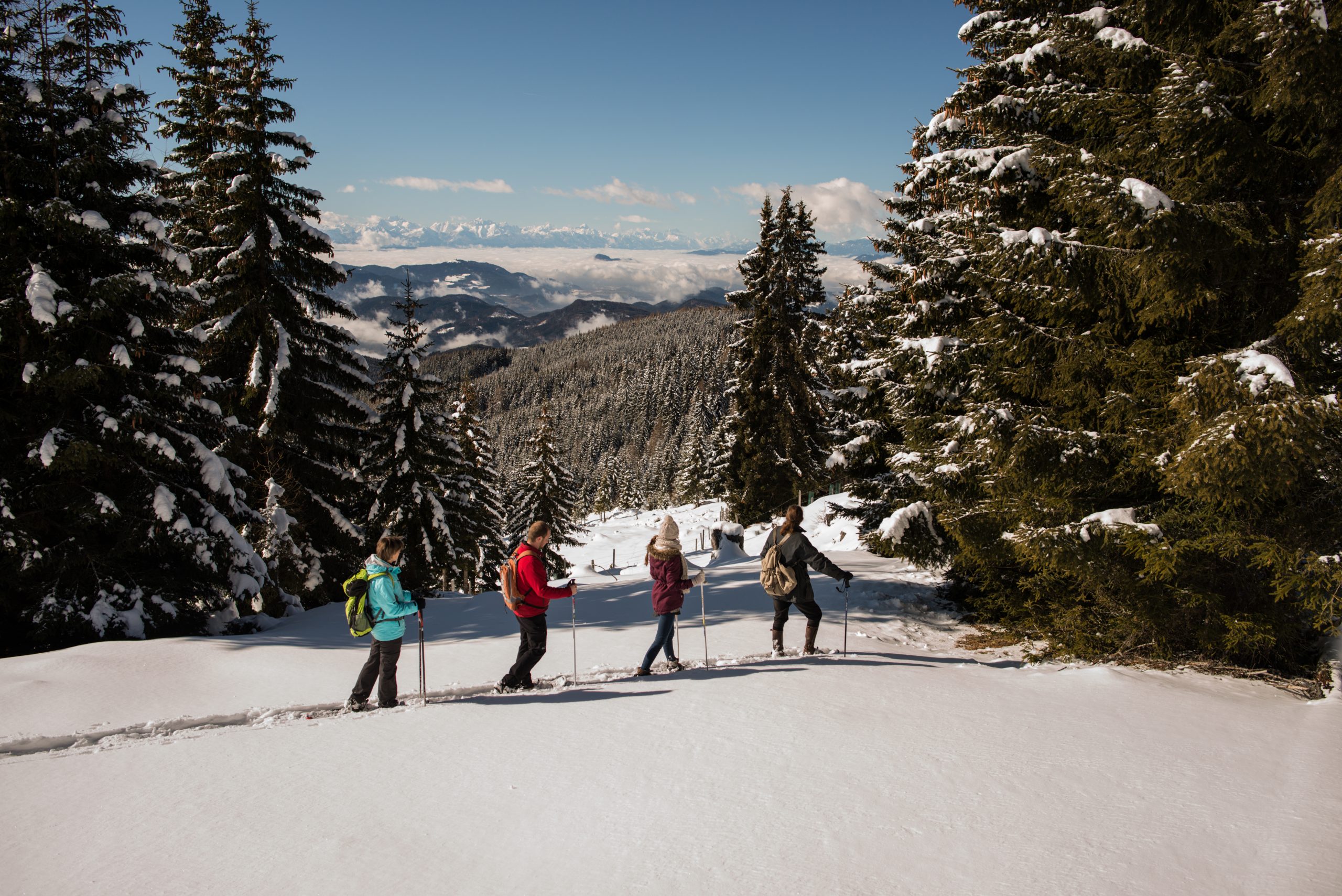 Winterwandern auf der Saualm