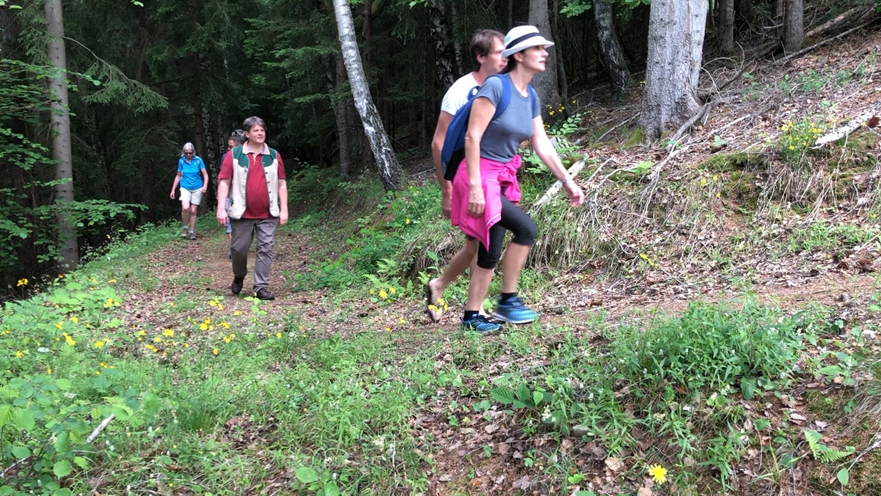 Bibelwanderung durch schöne Wälder in Eberstein