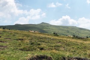 Sanfte Wanderung zum Gertrusk