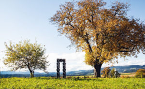 Wunderschöne herbstliche Landschaft in Kärnten