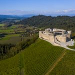 Taggenbrunn