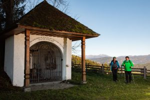 Kräuterwanderung Pisweg