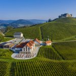 Weingut Burg Taggenbrunn