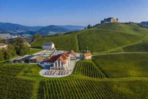 Weingut Burg Taggenbrunn