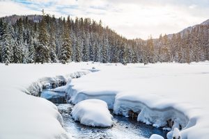 Schnee beim Winterwandern an der Flattnitz
