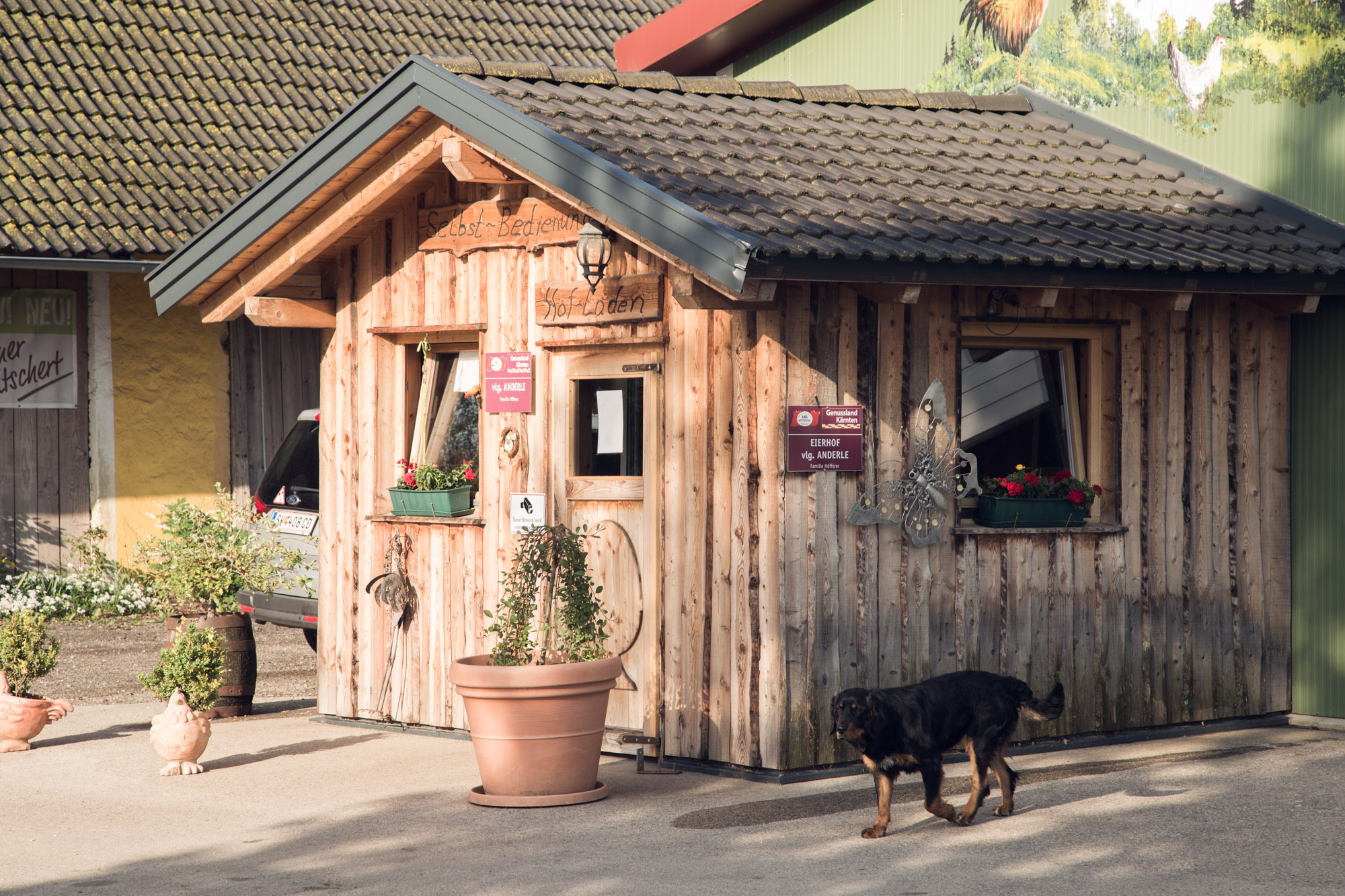 Eierhof Anderle - Bioladen