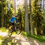 Mit dem Mountainbike im Wald