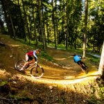 Gemeinsame Abfahrt im Wald