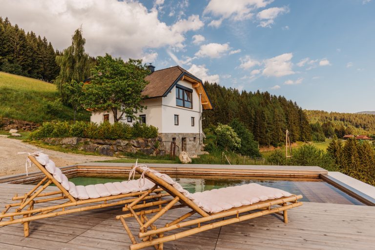 Saualmleitn - Haus mit Pool