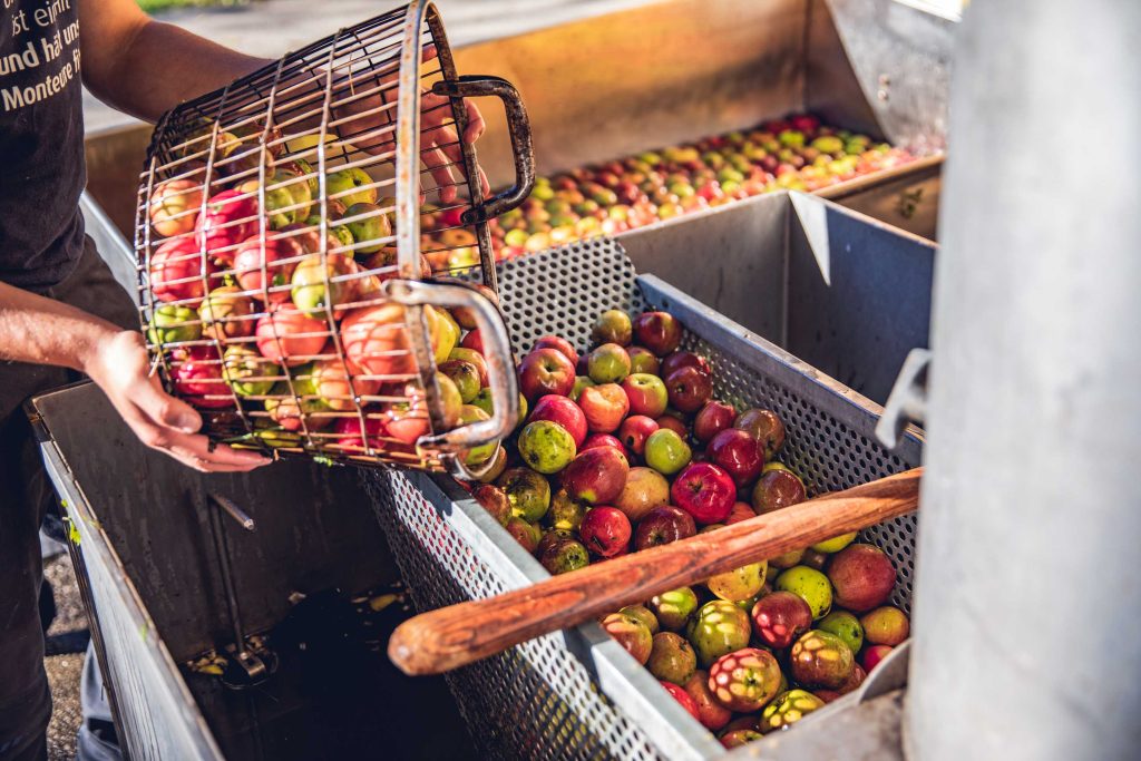 Frisches Obst bei Familie Rattenbeger