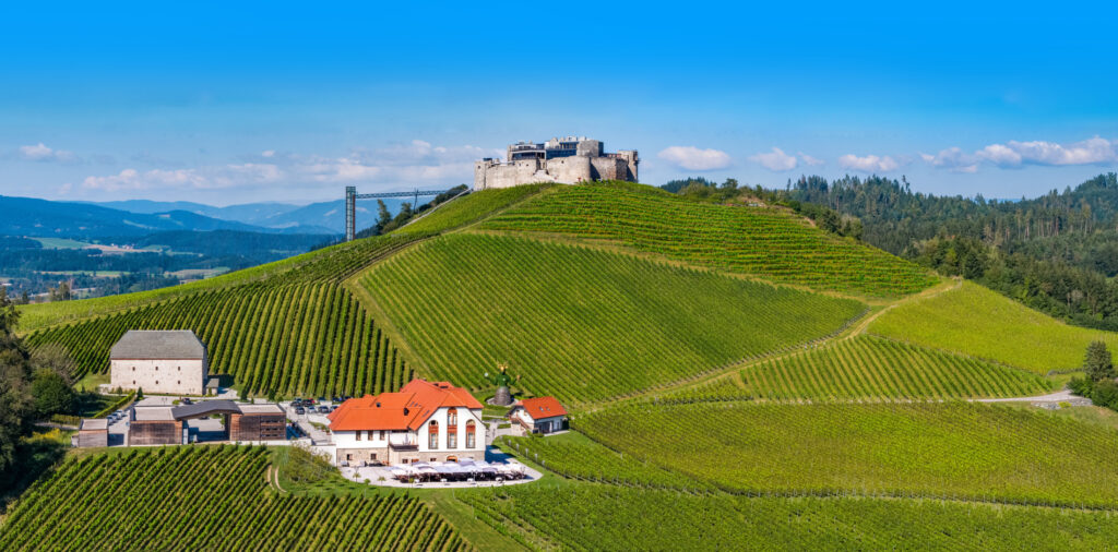 Weingut Burg Taggenbrunn