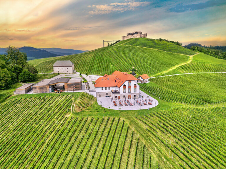 Weingut Burg Taggenbrunn