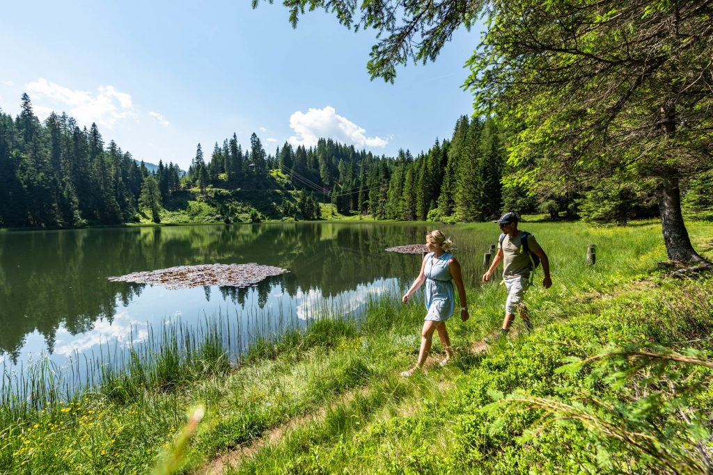 Wandern auf der Flattnitz