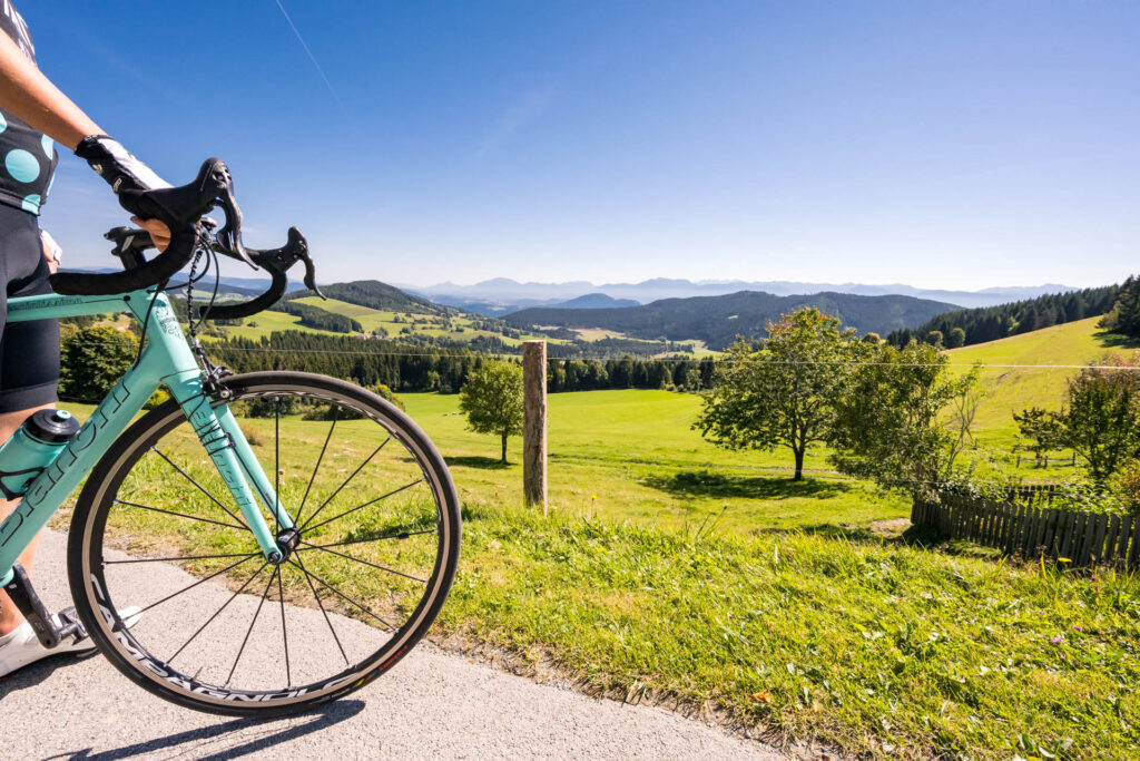 Fahrrad im Vordergrund, grüne Wiese im Hintergrund