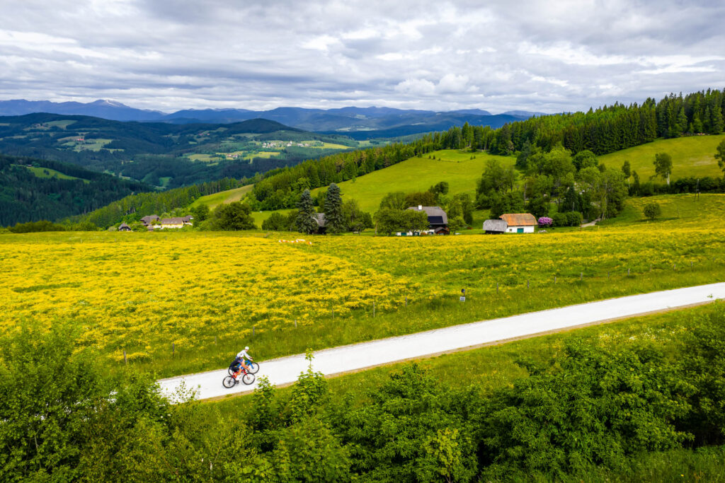Grüne Landschaft mit Radfahrern